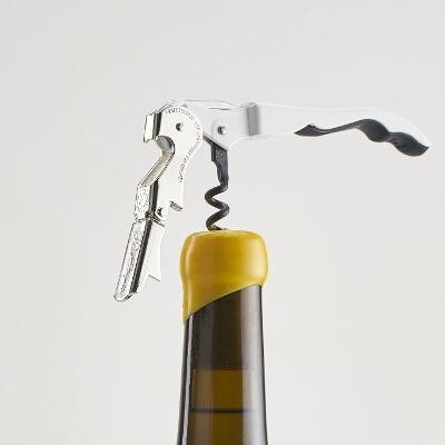 Macintosh HD:Users:williamhancock:Desktop:thumbnail-1.jpg