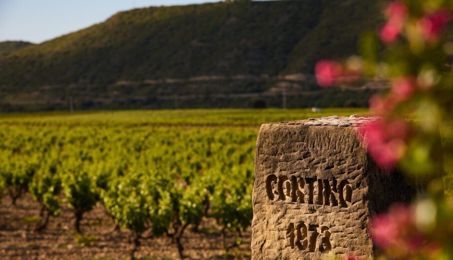 Contino vineyard with 1973 stone marker, Rioja Alavesa
