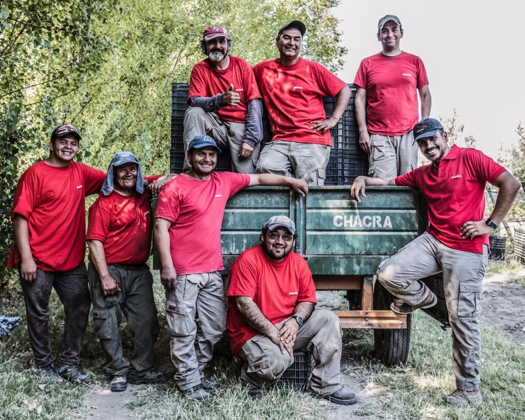 Harvest crew at Chacra during picking